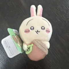 ちいかわ　うさぎだらけくじ　D賞　どんぐりDJのサムネイル