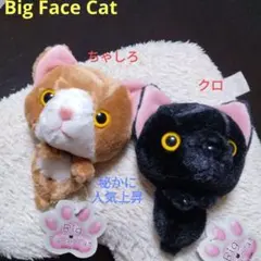 Item thumbnail for item 2787a7ca-0d5b-4bf5-bbe3-f9e9acba16d2