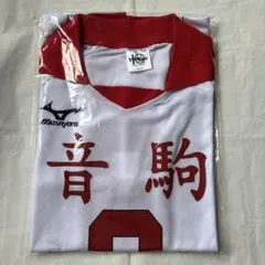 夜久衛輔