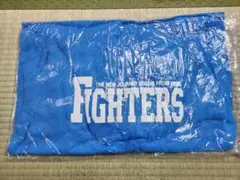 【新品未開封】 日本ハム ファイターズ 2018 来場者限定 オリジナルパーカー