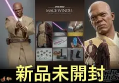2026年最新】メイスウィンドウ ホットトイズの人気アイテム - メルカリ