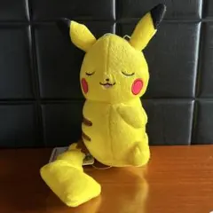 2026年最新】くつろぎ ピカチュウの人気アイテム - メルカリ