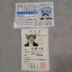 2026年最新】なめ猫免許証の人気アイテム - メルカリ