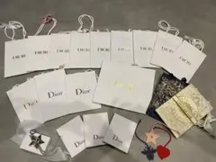クリスチャンDiorショッピングバッグ★ノベルティ付
