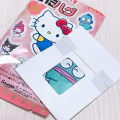 サンリオキャラクター大賞2025 ぴたハグ ハンギョドン