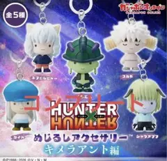 HUNTER×HUNTER めじるしアクセサリー キメラアント編 コンプリート