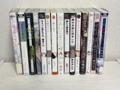 ボーイズラブ 漫画 15冊セット まとめ売