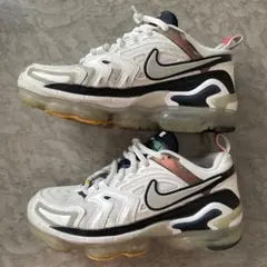 【NIKE】 AIR VAPORMAX EVO TECH GREY 24cm