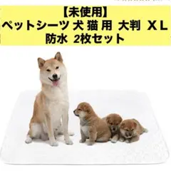 Item thumbnail for item 9e48a23e-bb60-4455-9ba3-b0297701db78