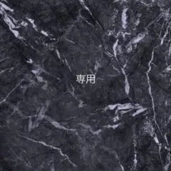 りーちゃん。様専用