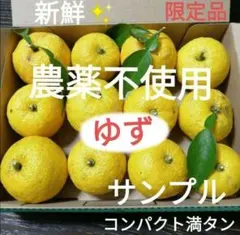 農薬不使用！新鮮✨ゆず　柚子　果物詰め合わせ　コンパクト箱満タン