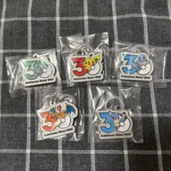 ポケモン　30周年　メタルチャームマスコット　5種