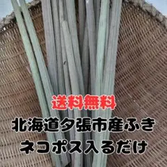【ぼー様専用】北海道夕張市産 ふき+わらび送料無料【80サイズ段ボール】