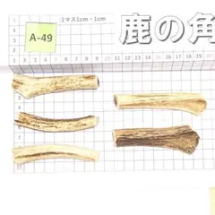 鹿の角 A-49 約9㎝ 5本セット 約100g 鹿角 鹿ツノ しかつの