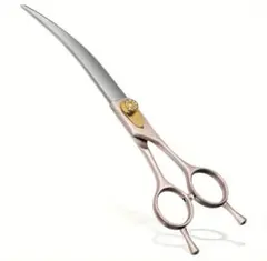 Item thumbnail for item d7cf038e-0b61-46e7-8733-5672b7d3c56a