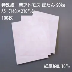 Item thumbnail for item 4f6a6644-f999-4a53-bb33-1122cad41c8e