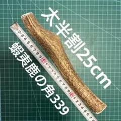 ふーせん様 リクエスト 2点 まとめ商品