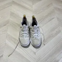 Curry 8