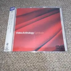 (未使用･未開封品)Video Anthology [DVD] 2026年最新】video anthology dvdの人気アイテム - メルカリ