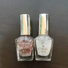 キャンメイク カラフルネイルズ N24 N25 2個セット