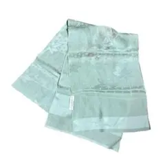 フォロワー限定価格 タグ付 帯揚げ ミントグリーン 花 紅葉 シルバー 正絹