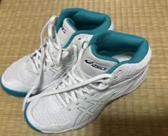 ASICS アシックス バスケットボールシューズ DUNKSHOT MB9