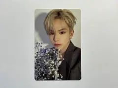 treasure アサヒ　reboot