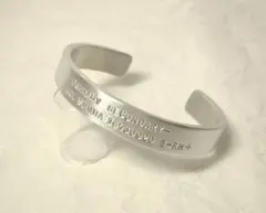 Item thumbnail for item b60d6442-1e4e-40a9-b855-7e7c83ae8b28