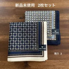 パオロ・グッチ【PAOLO GUCCI】デザイン ハンカチ2枚セット 綿100