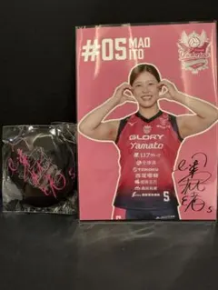 Item thumbnail for item 56748f41-ff1e-495a-9dc9-ba74ea893b14