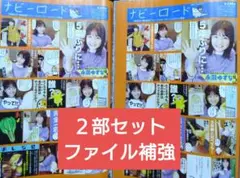 Item thumbnail for item 574a5c6f-78dd-4099-b794-25e1dec51a2c