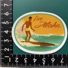 防水ステッカーシール1894   サーフィン　ボード　ハワイ   波乗り