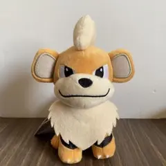 新品 ポケットモンスター ぬいぐるみ ガーディ