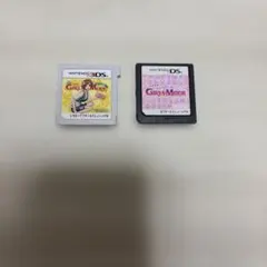 Nintendo 3DS わがままファッションGirls Mode 2本セット