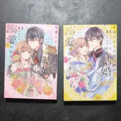 幸運王子と不運令嬢が相殺結婚したら溺愛が始まりました　2、3巻　２冊セット