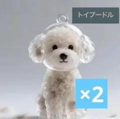 （トイプー）わんちゃん毛玉入れ 2個セット けだまだまチャーム メモリアル 収納