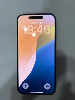 SIMフリー】iPhone 15 Pro Max 512GB シャッター音無 - メルカリ