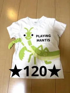 ★CHEEK ROOM カマキリ Tシャツ 120cm★のサムネイル