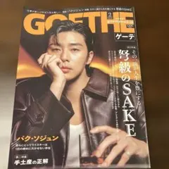 GOETHE 2月号 パク・ソジュン 表紙