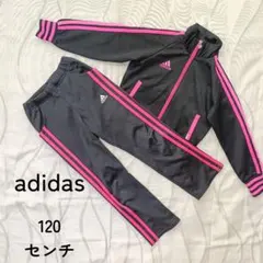 adidas ジャージ 上下セット 120 センチ ピンク