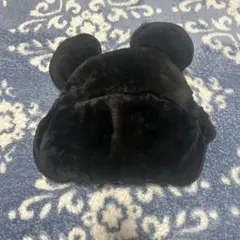 東京ディズニーリゾート　ブランケット