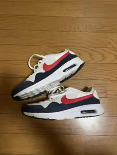 【年末セール】Nikeスニーカー 28cm