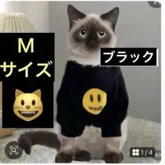 Item thumbnail for item fb32e9dc-d87a-4f0c-8769-97d9d8d89536