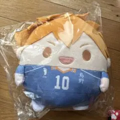 ハイキュー!! ふわっコリン Mサイズ 日向翔陽