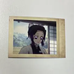 鬼滅の刃 ぱしゃこれ 胡蝶しのぶ 其ノ漆