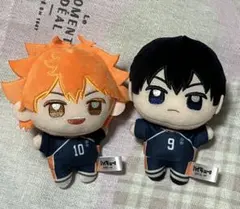 ハイキュー　ぬいぷりけmini 日向　影山