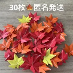 もみじ 葉っぱ 紅葉 折り紙 ハンドメイド 壁面飾り 50枚 - メルカリ