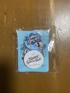 東京ディズニーリゾート ピンバッジセット