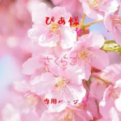 ぴあ‎ ᐢᴗ.ᴗᐢ♩プロフ必読❕➳♡゛様 リクエスト 5点 まとめ商品