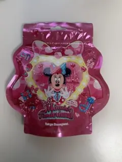 ディズニーミニーパルパルーザ　パスタスナック　お菓子